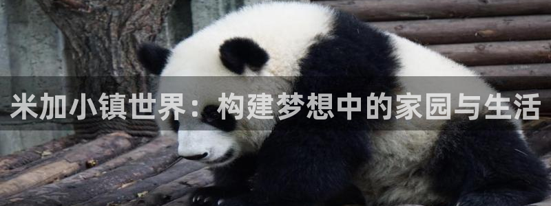 先锋岛娱乐：米加小镇世界：构建梦想中的家园与生活