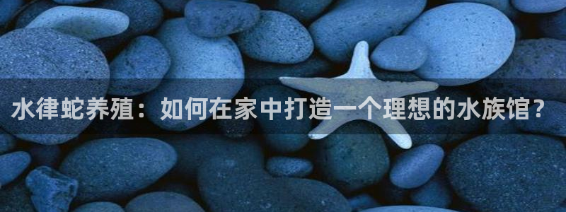 先锋综合娱乐：水律蛇养殖：如何在家中打造一个理想的水族馆？