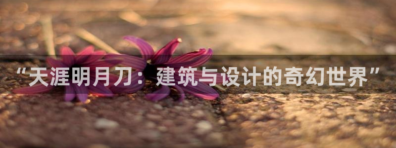 先锋电子车载娱乐系统：“天涯明月刀：建筑与设计的奇幻世界”