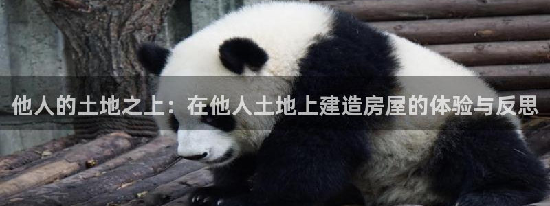 娱乐先锋捕鱼客服：他人的土地之上：在他人土地上建造房屋的体验与反思