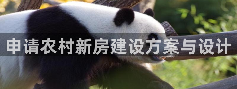 先锋娱乐麻将：申请农村新房建设方案与设计