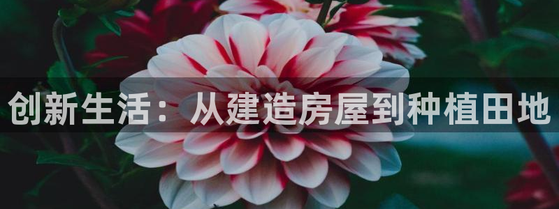 先锋娱乐公司：创新生活：从建造房屋到种植田地