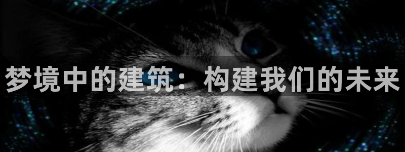先锋娱乐游戏上分网址：梦境中的建筑：构建我们的未来