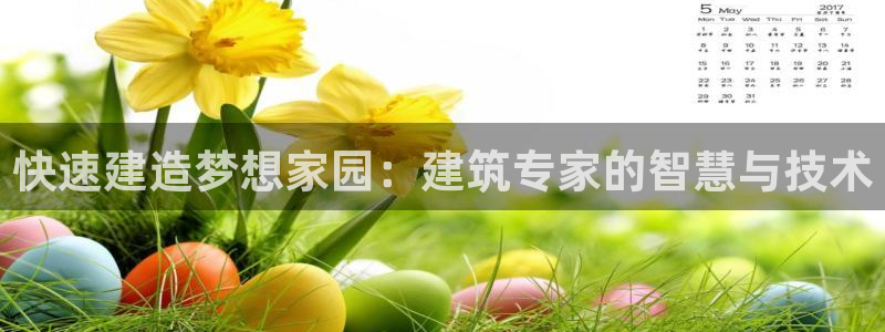 先锋娱乐侠：快速建造梦想家园：建筑专家的智慧与技术