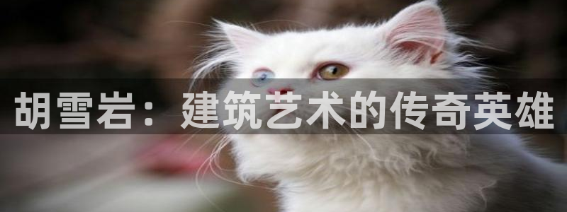 先锋娱乐网67xf：胡雪岩：建筑艺术的传奇英雄