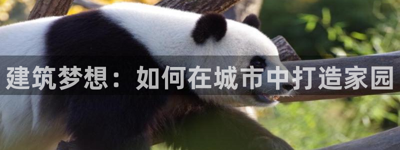 先锋娱乐属于违法吗：建筑梦想：如何在城市中打造家园