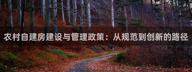 威斯汀娱乐先锋：农村自建房建设与管理政策：从规范到创新的路径