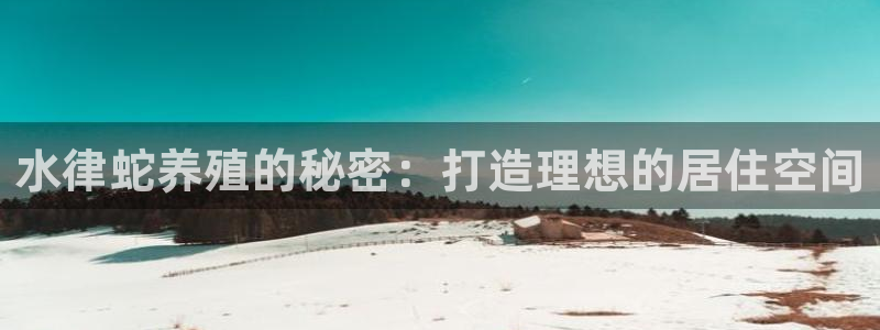 先锋娱乐股票：水律蛇养殖的秘密：打造理想的居住空间