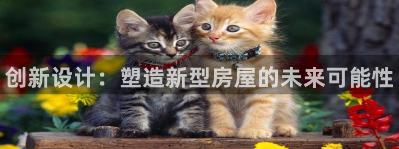 先锋娱乐系统：创新设计：塑造新型房屋的未来可能性