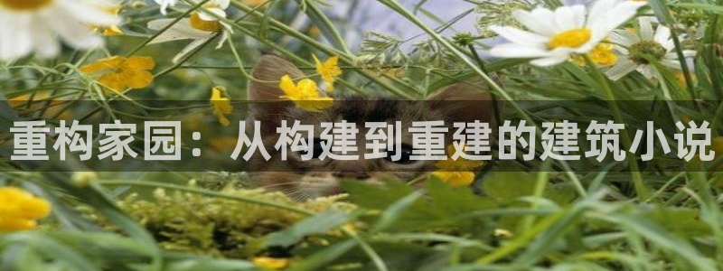 先锋娱乐是不是骗子：重构家园：从构建到重建的建筑小说