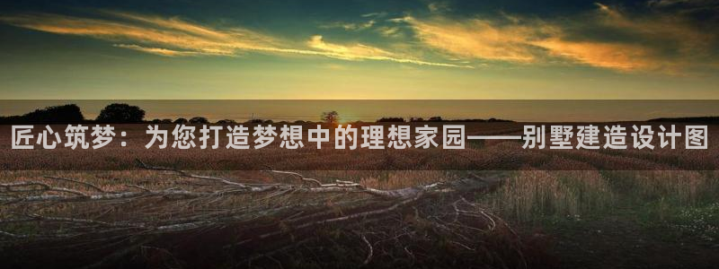 先锋娱乐麻将：匠心筑梦：为您打造梦想中的理想家园——别墅建造设计图