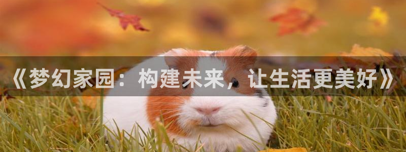 先锋娱乐公司正规吗吗：《梦幻家园：构建未来，让生活更美好》