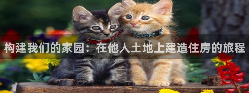 先锋娱乐大厅平台：构建我们的家园：在他人土地上建造住房的旅程