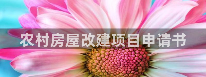 先锋娱乐团：农村房屋改建项目申请书