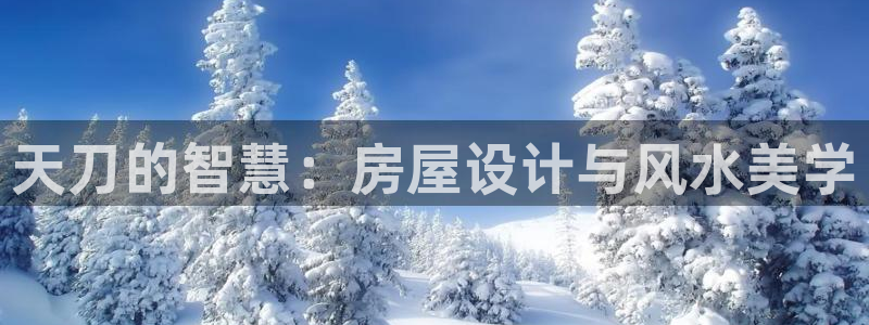 先锋娱乐官：天刀的智慧：房屋设计与风水美学