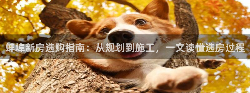 先锋互动娱乐：蚌埠新房选购指南：从规划到施工，一文读懂选房过程