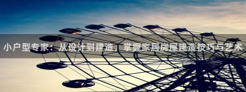 先锋娱乐管理集团：小户型专家：从设计到建造，掌握家居房屋建造技巧与艺术