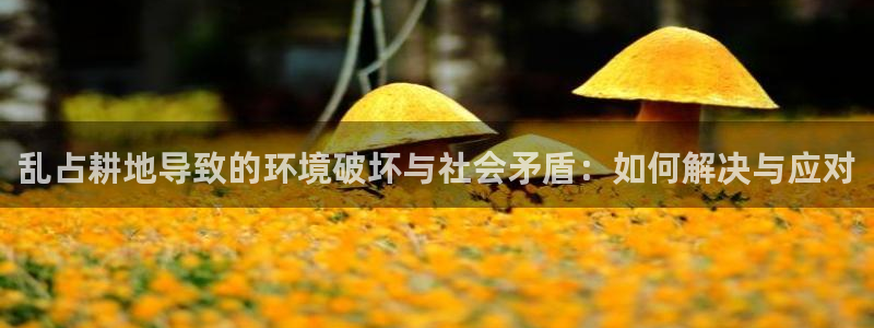 先锋娱乐播报：乱占耕地导致的环境破坏与社会矛盾：如何解决与应对