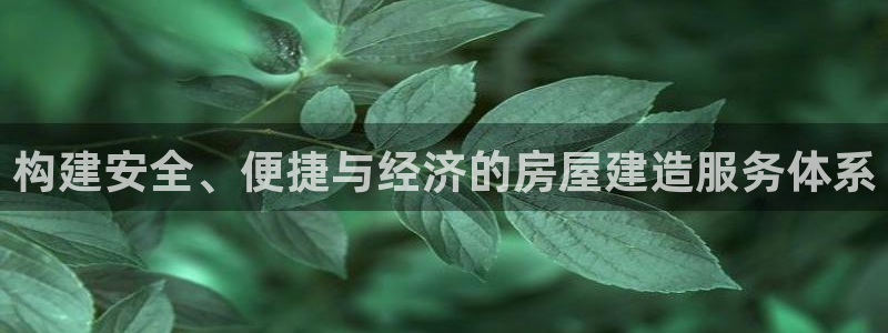先锋队娱乐：构建安全、便捷与经济的房屋建造服务体系