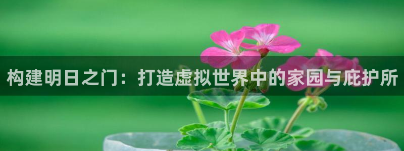 先锋岛娱乐：构建明日之门：打造虚拟世界中的家园与庇护所