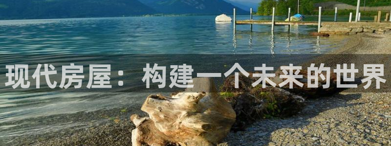 先锋娱乐大厅平台：现代房屋：构建一个未来的世界