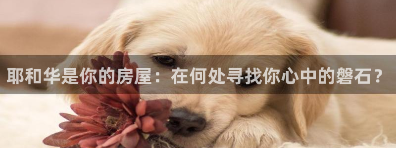 先锋娱乐：耶和华是你的房屋：在何处寻找你心中的磐石？