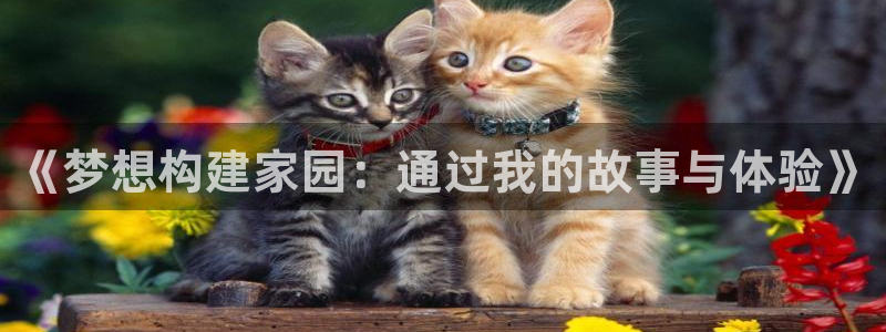 先锋娱乐客服中心：《梦想构建家园：通过我的故事与体验》