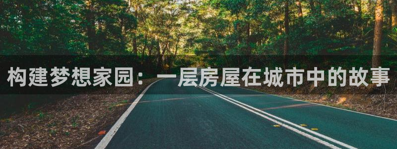 先锋娱乐集团：构建梦想家园：一层房屋在城市中的故事