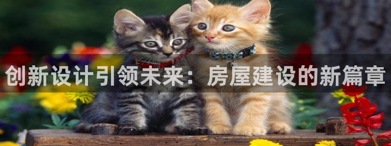 先锋娱乐简介图片：创新设计引领未来：房屋建设的新篇章