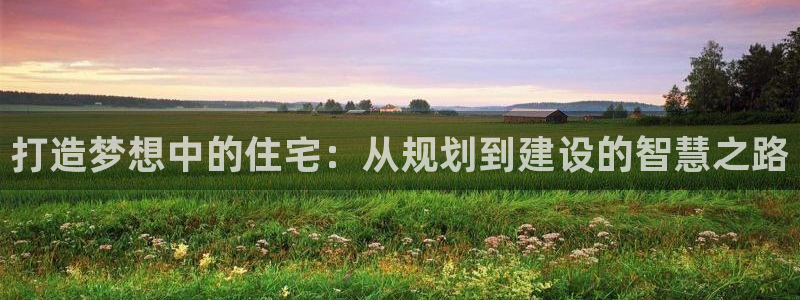 先锋娱乐大厅斗牛：打造梦想中的住宅：从规划到建设的智慧之路