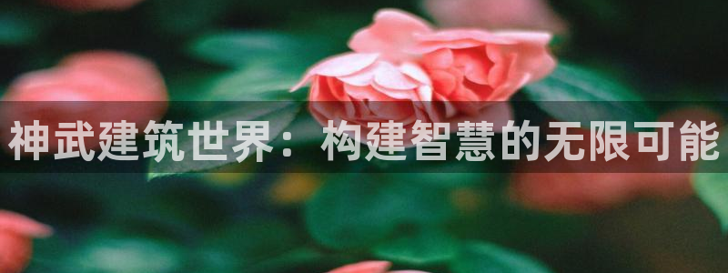 澳门先锋娱乐：神武建筑世界：构建智慧的无限可能
