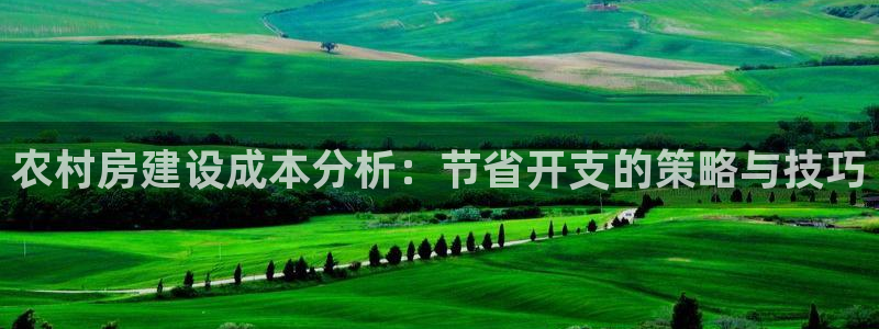 先锋娱乐软件：农村房建设成本分析：节省开支的策略与技巧
