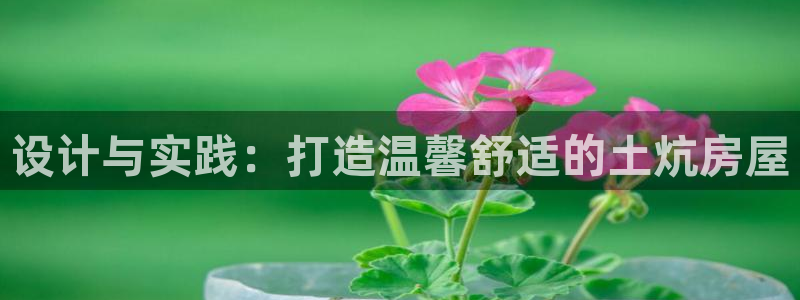 先锋娱乐场所：设计与实践：打造温馨舒适的土炕房屋