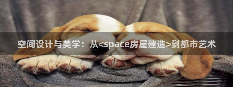 先锋娱乐链接：空间设计与美学：从<space房屋建造>到都市艺术