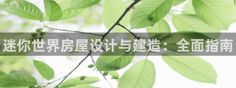 时代先锋娱乐：迷你世界房屋设计与建造：全面指南