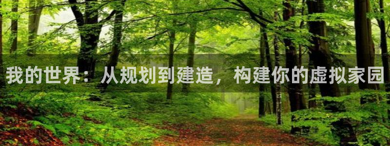 先锋娱乐理财logo：我的世界：从规划到建造，构建你的虚拟家园