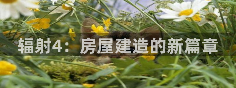 先锋娱乐游戏大厅下载：辐射4：房屋建造的新篇章