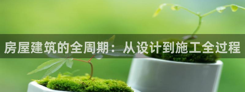 先锋娱乐社：房屋建筑的全周期：从设计到施工全过程