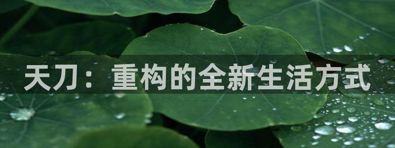 先锋娱乐集团公司：天刀：重构的全新生活方式