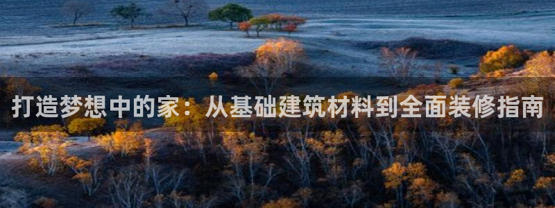 先锋娱乐社：打造梦想中的家：从基础建筑材料到全面装修指南