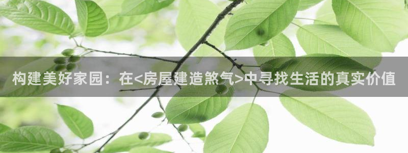 先锋娱乐账号注册不了：构建美好家园：在<房屋建造煞气>中寻找生活的真实价值