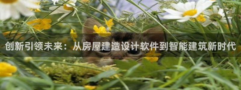 先锋娱乐客服：创新引领未来：从房屋建造设计软件到智能建筑新时代