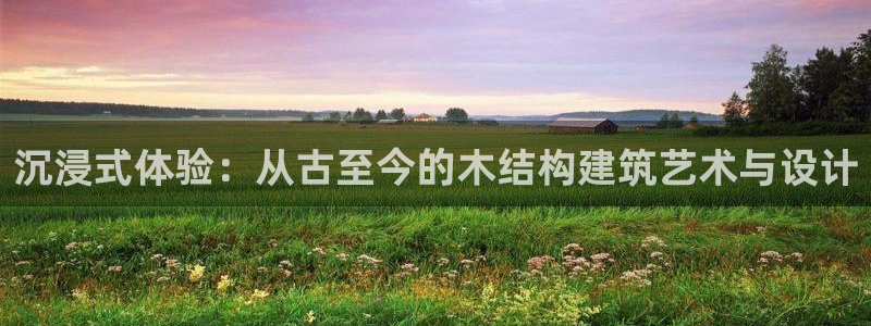 先锋娱乐中国：沉浸式体验：从古至今的木结构建筑艺术与设计