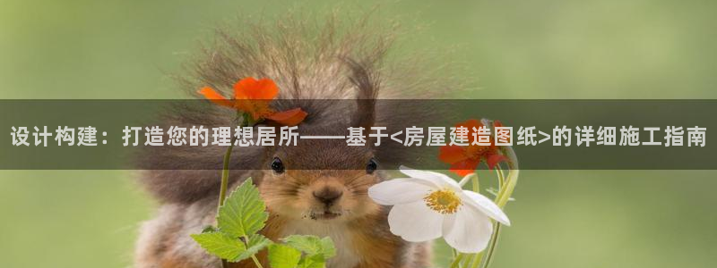 大连先锋娱乐：设计构建：打造您的理想居所——基于<房屋建造图纸>的详细施工指南