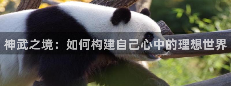 先锋娱乐传媒：神武之境：如何构建自己心中的理想世界