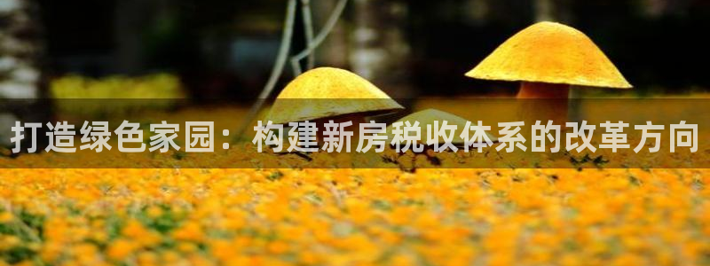 先锋娱乐管理集团：打造绿色家园：构建新房税收体系的改革方向