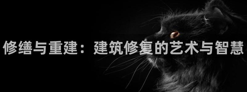 先锋队娱乐：修缮与重建：建筑修复的艺术与智慧