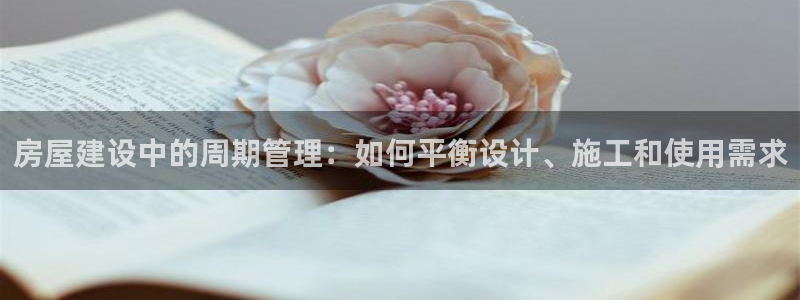 先锋娱乐集团公司：房屋建设中的周期管理：如何平衡设计、施工和使用需求
