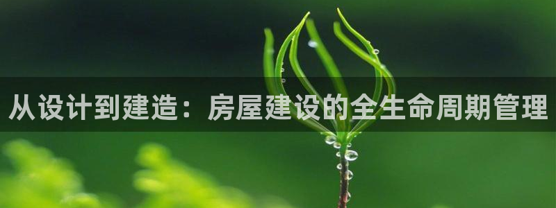 先锋娱乐扑克：从设计到建造：房屋建设的全生命周期管理