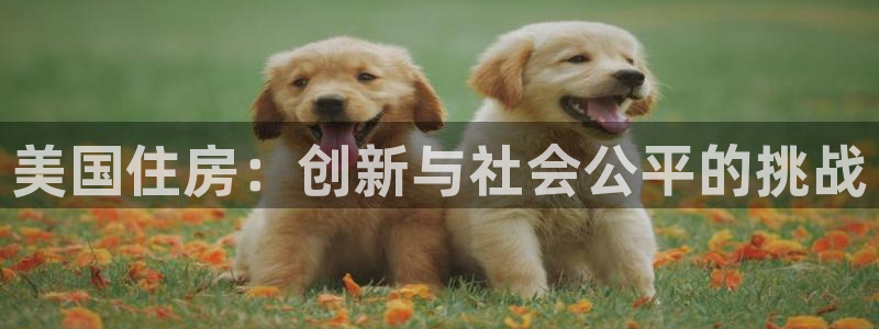 娱乐急先锋全集下载：美国住房：创新与社会公平的挑战